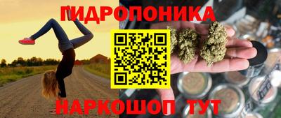 мяу мяу мука Заводоуковск