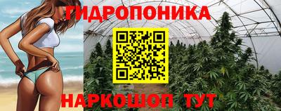 мяу мяу мука Заводоуковск