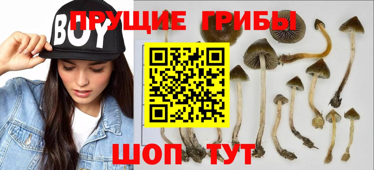 Псилоцибиновые грибы ЛСД Назрань