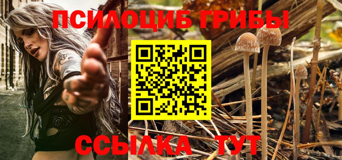 Галлюциногенные грибы Magic Shrooms  Галлюциногенные грибы мицелий  Вход с VPN  Назрань 